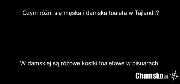 Czym różni się męska i damska toaleta w Tajlandii? W damskiej są różowe kostki toaletowe w pisuarach.