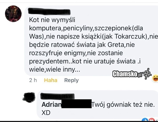 Czego nie zrobi kot?