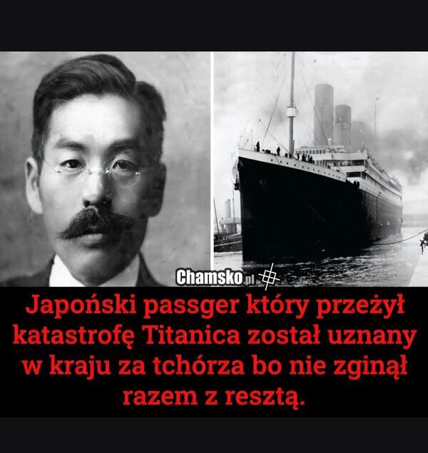Tchórz