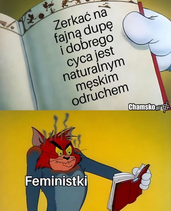 Zerkanie