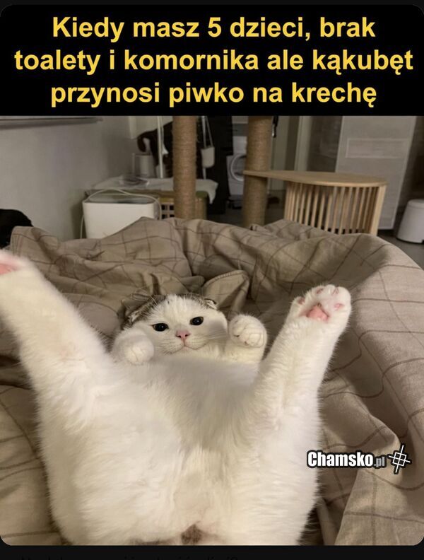 Piwko na kreche