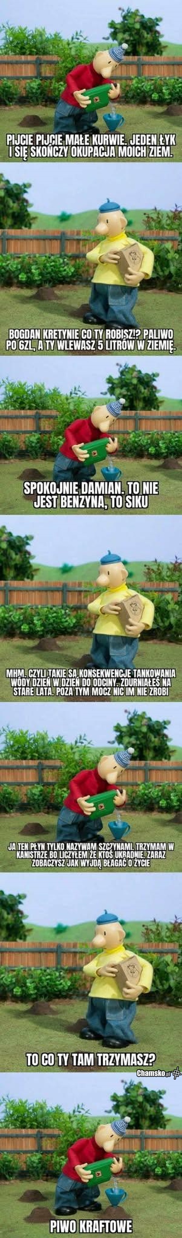Odżywka do trawy