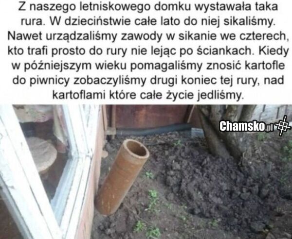Zawody w sikaniu