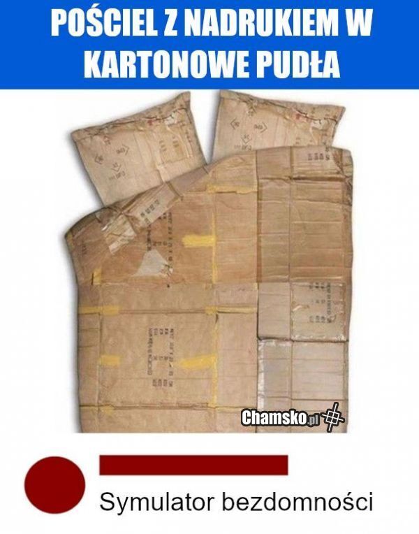Symulator bezdomności