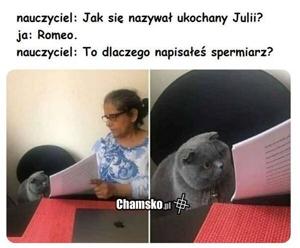 Ukochany Julii