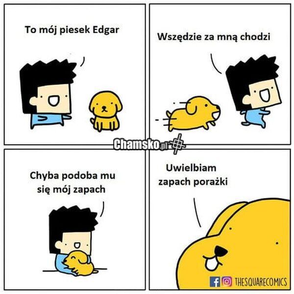 Ulubiony zapach