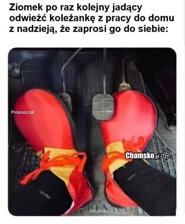 Podwożenie koleżanki