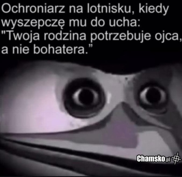 Kontrola na lotnisku