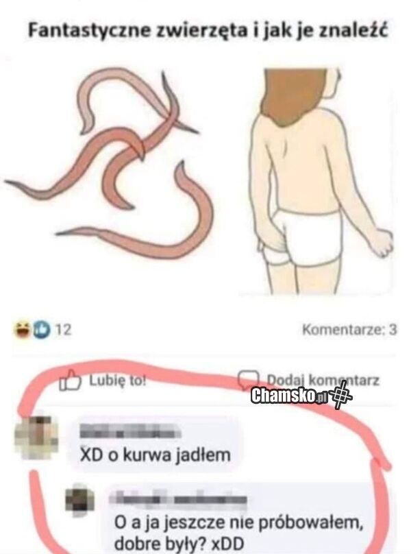 Fantastyczne zwierzęta