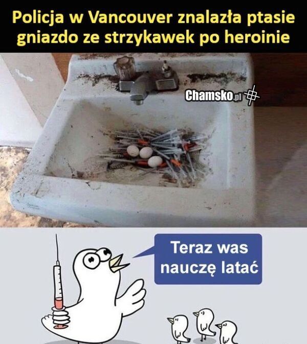 Nauka latania