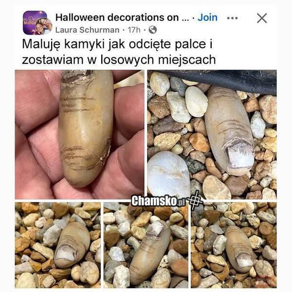 Świetny pomysł na hobby