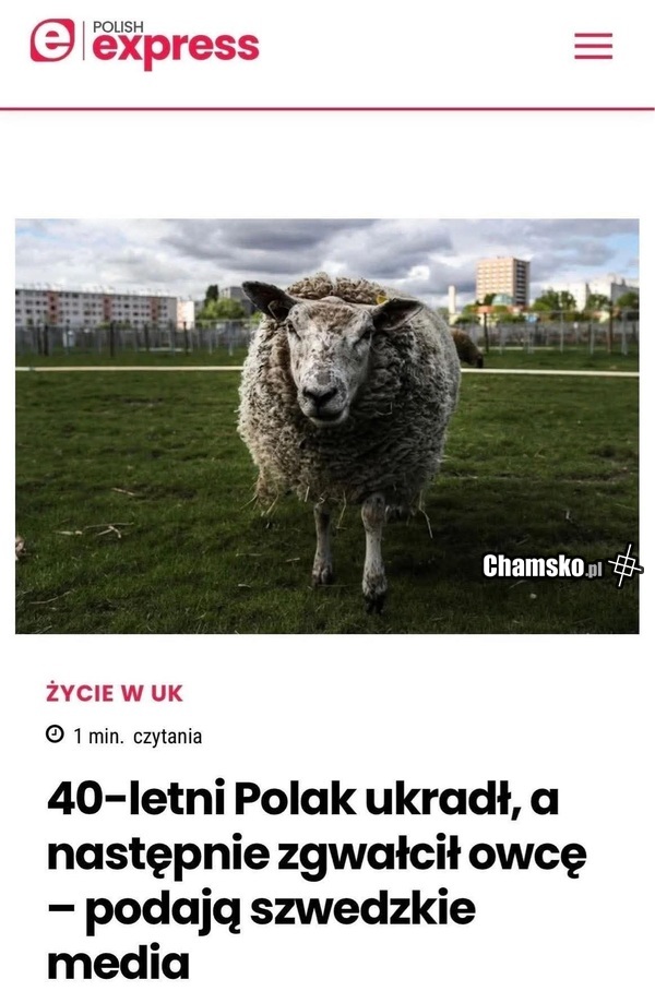 Polacy z Szwecji