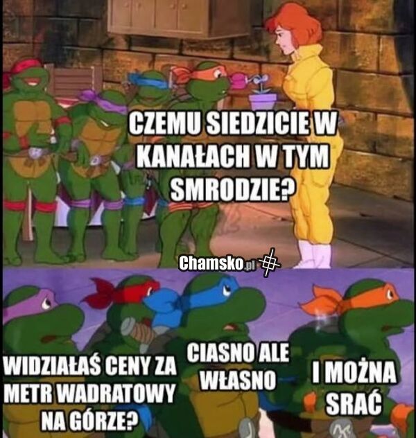 Żółwia Ninja