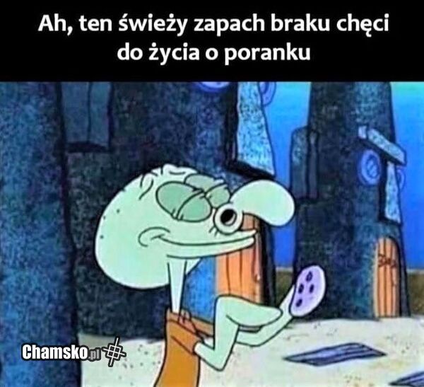 Świeży zapach