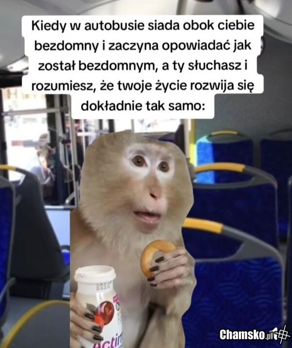 Rozmowa z bezdomnym