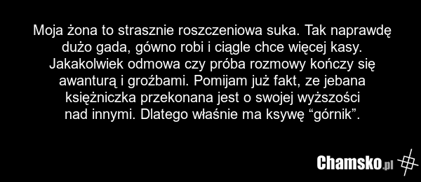 Moja żona to strasznie roszczeniowa suka. Tak naprawdę dużo gada, gówno robi i ciągle chce więcej kasy. Jakakolwiek odmowa czy próba rozmowy kończy się awanturą i groźbami. Pomijam już fakt, ze jebana księżniczka przekonana jest o swojej wyższości nad innymi. Dlatego właśnie ma ksywę “górnik”.