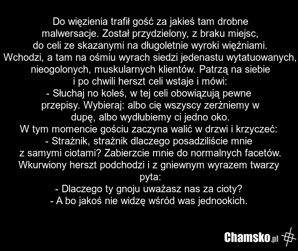Do więzienia trafił gość za jakieś tam drobne malwersacje. Został przydzielony, z braku miejsc, do celi ze skazanymi na długoletnie wyroki więźniami. Wchodzi, a tam na ośmiu wyrach siedzi jedenastu wytatuowanych, nieogolonych, muskularnych klientów. Patrzą na siebie i po chwili herszt celi wstaje i…