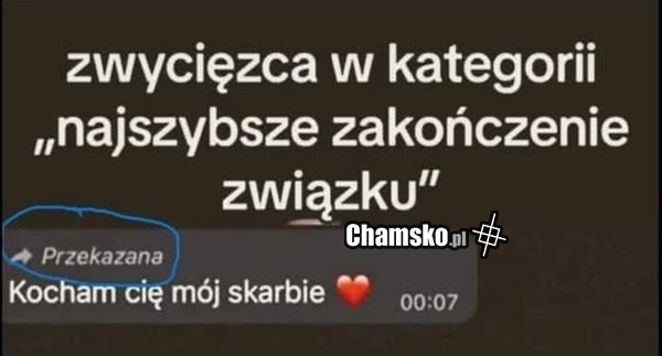 Zwycięzca