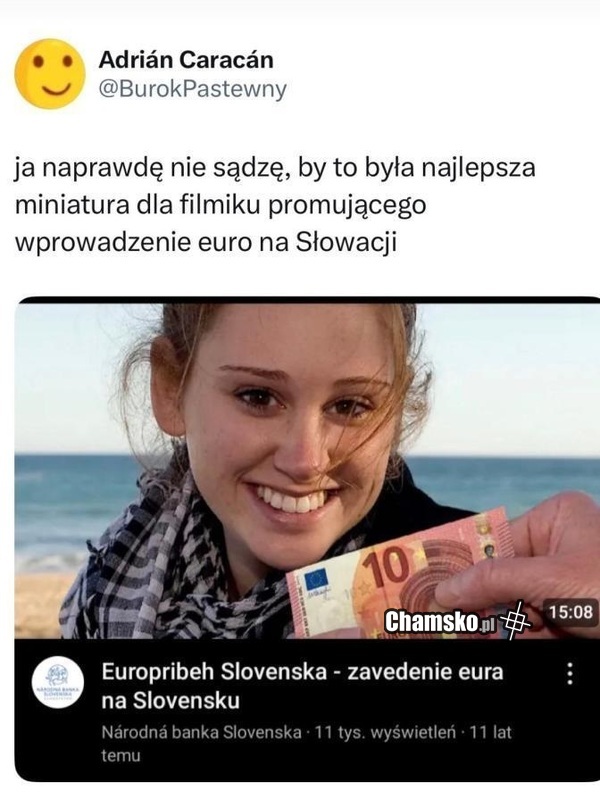 Miniaturka
