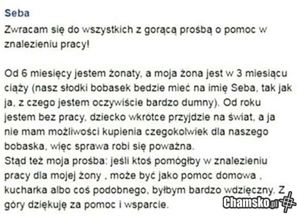 Szukam pracy