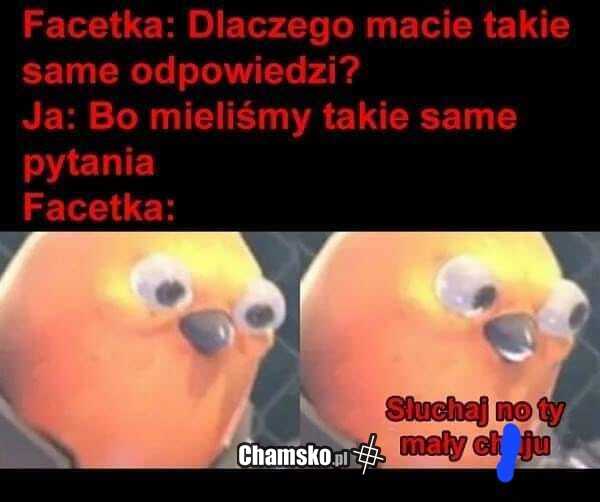 Takie same odpowiedzi