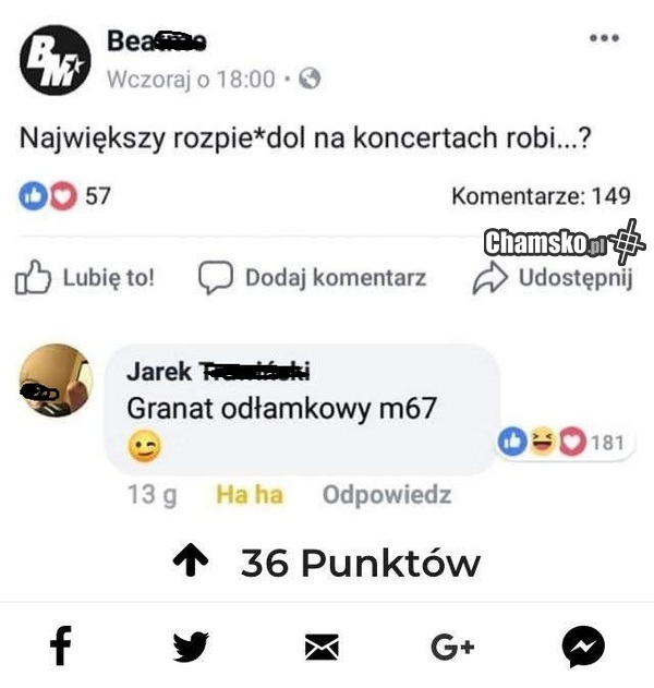 Na koncercie