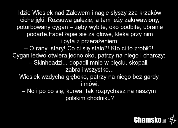 Idzie Wiesiek nad Zalewem i nagle słyszy zza krzaków ciche jęki. Rozsuwa gałęzie, a tam leży zakrwawiony, poturbowany cygan – zęby wybite, oko podbite, ubranie podarte.Facet łapie się za głowę, klęka przy nim i pyta z przerażeniem: – O rany, stary! Co ci się stało?! Kto ci to zrobił?! Cygan ledwo o…