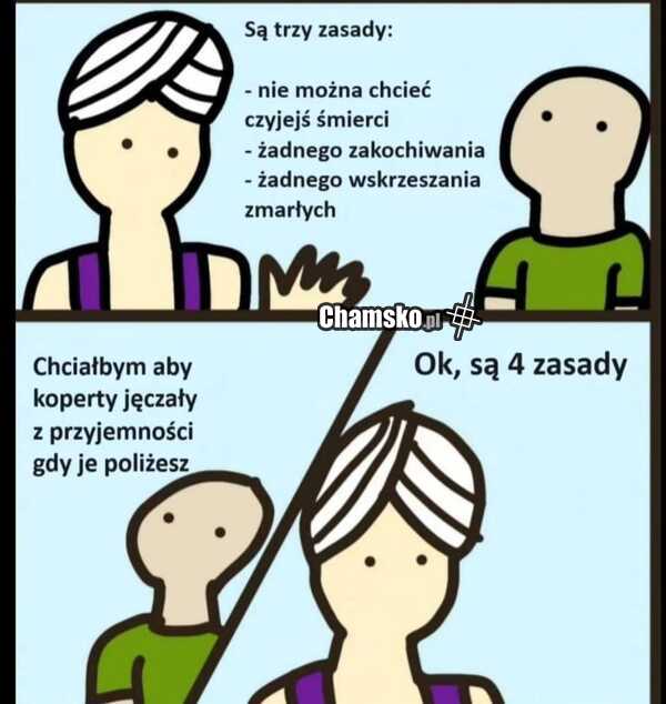 Zasady dżina
