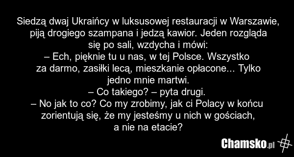 Siedzą dwaj Ukraińcy w luksusowej restauracji w Warszawie, piją drogiego szampana i jedzą kawior. Jeden rozgląda się po sali, wzdycha i mówi: – Ech, pięknie tu u nas, w tej Polsce. Wszystko za darmo, zasiłki lecą, mieszkanie opłacone... Tylko jedno mnie martwi. – Co takiego? – pyta drugi. – No jak…