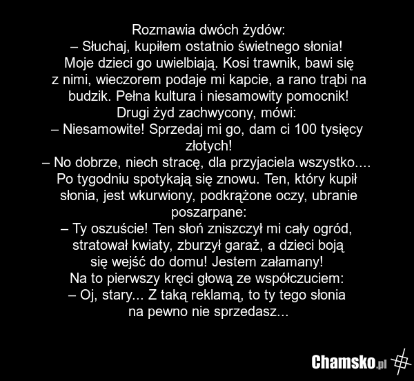 Rozmawia dwóch żydów: – Słuchaj, kupiłem ostatnio świetnego słonia! Moje dzieci go uwielbiają. Kosi trawnik, bawi się z nimi, wieczorem podaje mi kapcie, a rano trąbi na budzik. Pełna kultura i niesamowity pomocnik! Drugi żyd zachwycony, mówi: – Niesamowite! Sprzedaj mi go, dam ci 100 tysięcy złoty…