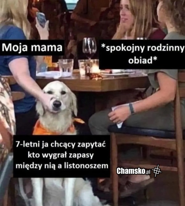 Zapasy