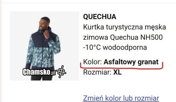 Modny kolor