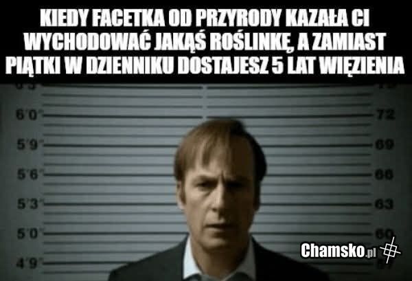 Proste zadanie
