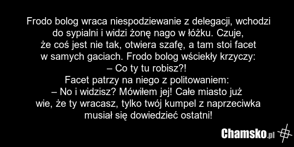 Frodo bolog wraca niespodziewanie z delegacji, wchodzi do sypialni i widzi żonę nago w łóżku. Czuje, że coś jest nie tak, otwiera szafę, a tam stoi facet w samych gaciach. Frodo bolog wściekły krzyczy: – Co ty tu robisz?! Facet patrzy na niego z politowaniem: – No i widzisz? Mówiłem jej! Całe miast…