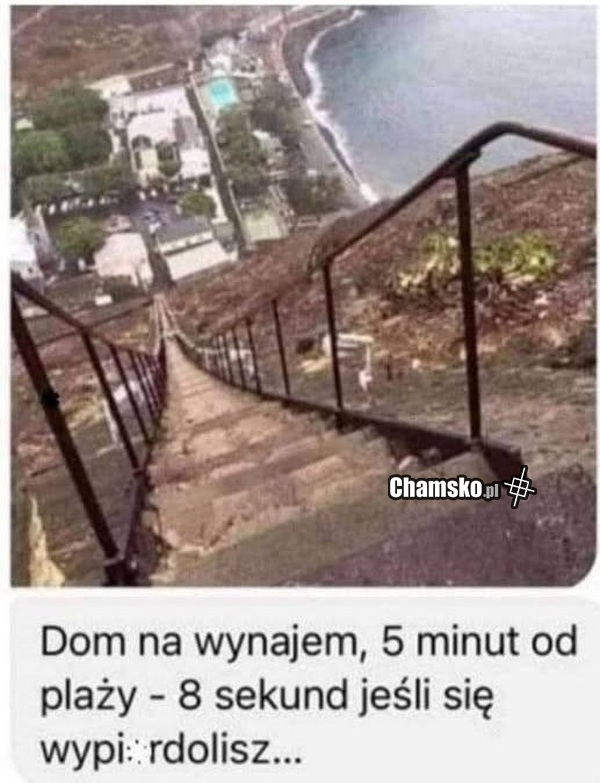 Dom do wynajęcia
