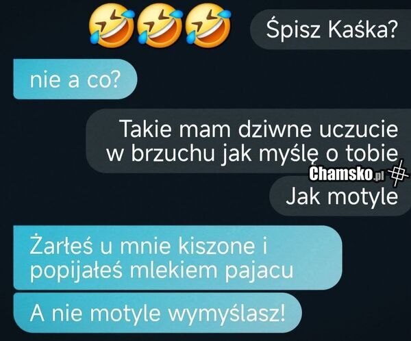 Motyle w brzuchu