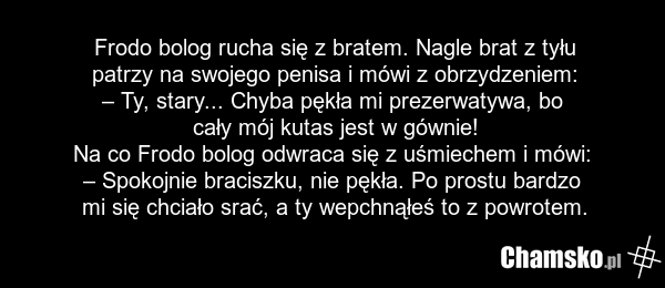 Frodo bolog rucha się z bratem. Nagle brat z tyłu patrzy na swojego penisa i mówi z obrzydzeniem: – Ty, stary... Chyba pękła mi prezerwatywa, bo cały mój kutas jest w gównie! Na co Frodo bolog odwraca się z uśmiechem i mówi: – Spokojnie braciszku, nie pękła. Po prostu bardzo mi się chciało srać, a…