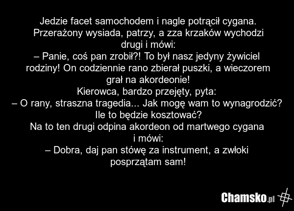 Jedzie facet samochodem i nagle potrącił cygana. Przerażony wysiada, patrzy, a zza krzaków wychodzi drugi i mówi: – Panie, coś pan zrobił?! To był nasz jedyny żywiciel rodziny! On codziennie rano zbierał puszki, a wieczorem grał na akordeonie! Kierowca, bardzo przejęty, pyta: – O rany, straszna tra…