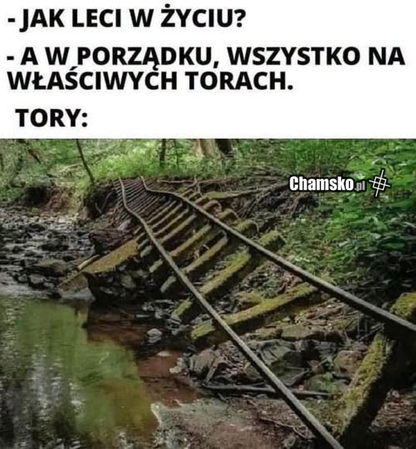 Wszystko na właściwych torach