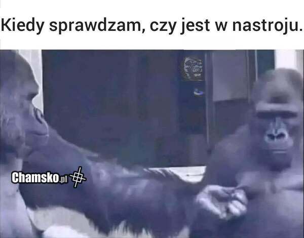 Czy jest w nastroju