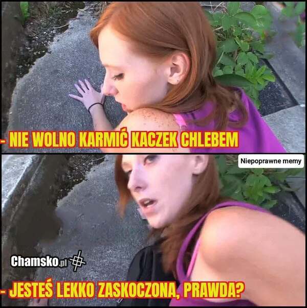 Karmienie chlebem