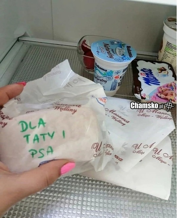 Dla taty i psa