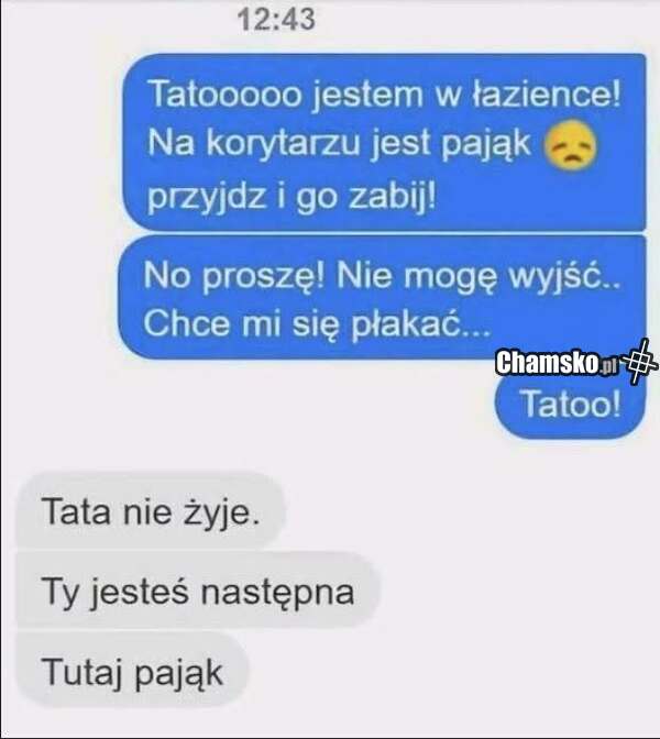 Pająk w przejściu