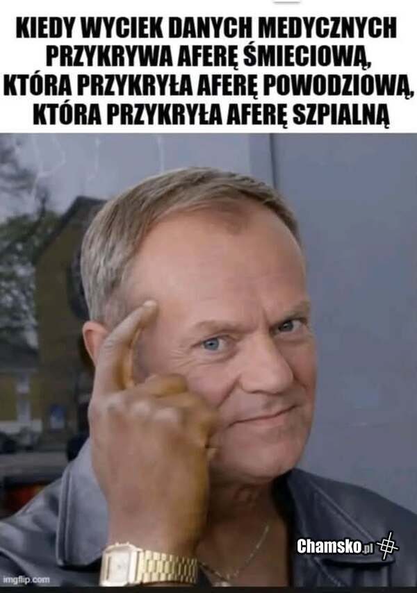 polityka