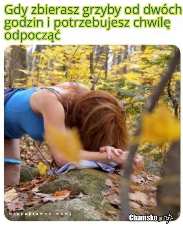 Odpoczynek na grzybobraniu