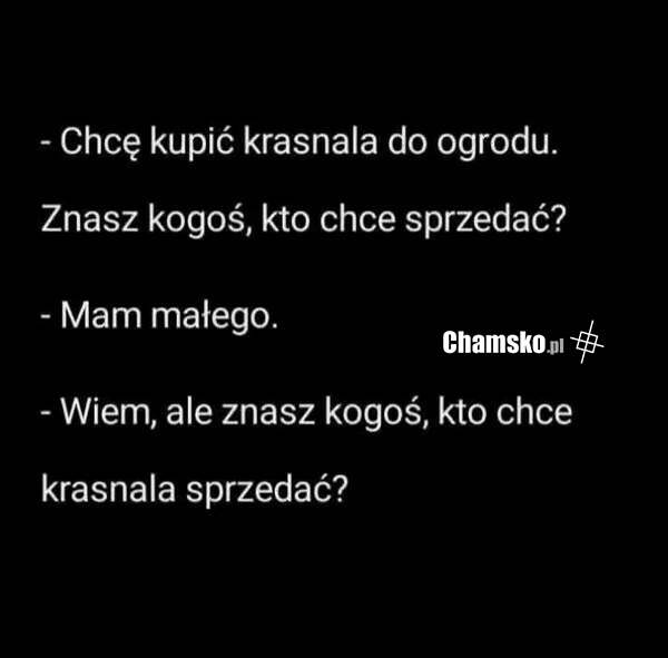 Krasnalek do ogrodu