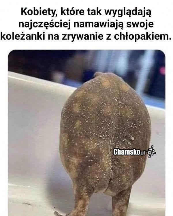 Przyjaciółki