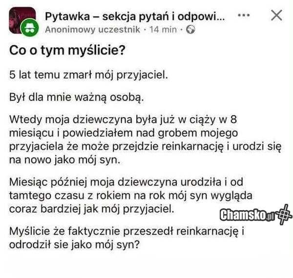 Reinkarnacja