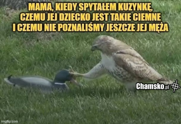 Trudne pytanie