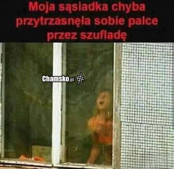 Szuflada